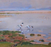 DONALD WATSON - WILDLIFE ARTIST