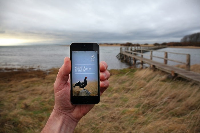 SOC launches new birdwatching app – The SOC