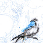 Louise Pallister - Birds in Common Gannet 1