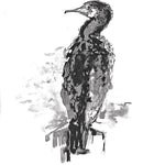 Louise Pallister - Cormorant