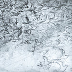 Louise Pallister - Flocking II