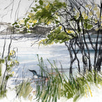 Liz Myhill - Glimpse Through the Birches