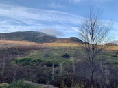 SOC Annual Conference – a speaker’s eye view