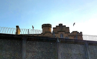 'Doing Bird': Scotland's sounds at HMP Perth