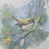 Bho Bheul an Eòin - From the Bird's Mouth
