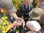 SOC/BTO Scotland Scottish Bird Camp 2023