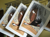 Lisa Hooper print to support Golden Eagle project
