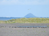 Musselburgh Lagoons – past, present and future
