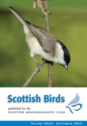 Scottish Birds