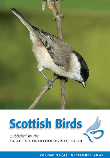 Scottish Birds