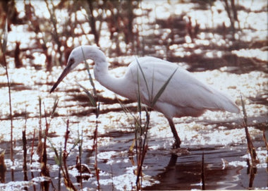 Little Things Mean A Lot