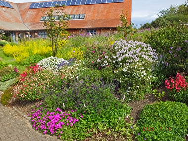 Waterston House Gardens