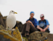 Young Birders' Training Course shortlisted for National Award