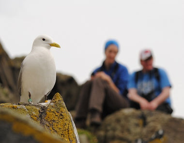 Young Birders' Training Course shortlisted for National Award