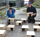 SOC & Isle of May Bird Observatory, Young Birders' Training Course 2017
