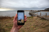 SOC launches new birdwatching app