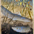 Yellow Eels