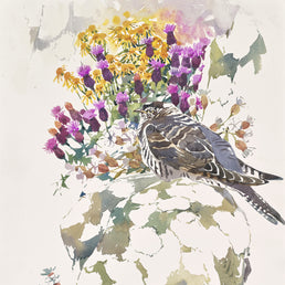 Young Cuckoo among coastal colours