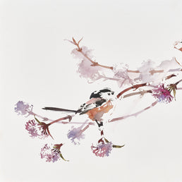 Long-tailed Tit pair among garden Viburnum