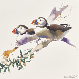 Puffin pair and Sea Campion