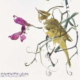 Chiffchaff and Sweet Peas II SOLD