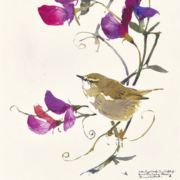 Chiffchaff and Sweet Peas SOLD