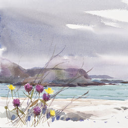 Lewis colours and passing Sea Eagle SOLD