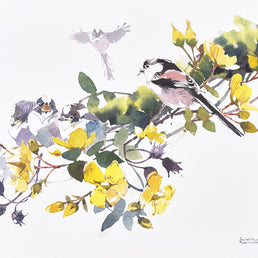 Long-Tailed Tit family and Hypericum