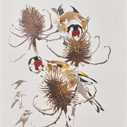 Goldfinch pair on Teasels SOLD