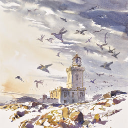 Dawn light over main light, Isle of May