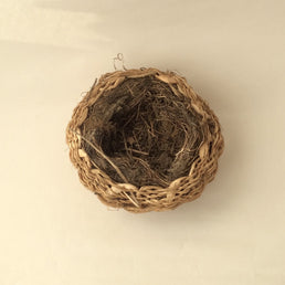 Enclosed nest