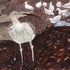 Curlew