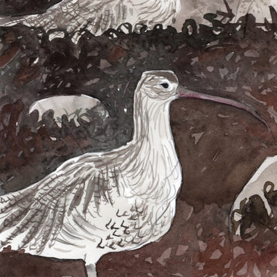 Curlew Pair