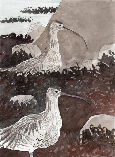 Curlew Pair