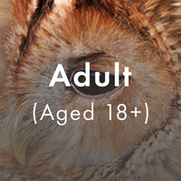 Membership - Full (Paper + Digital)