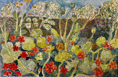 Amisfield Nasturtiums