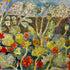 Amisfield Nasturtiums