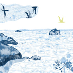 View over Seacliff and Tantallon