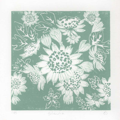 Astrantia