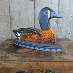 Blue-winged Teal by Tom Frost