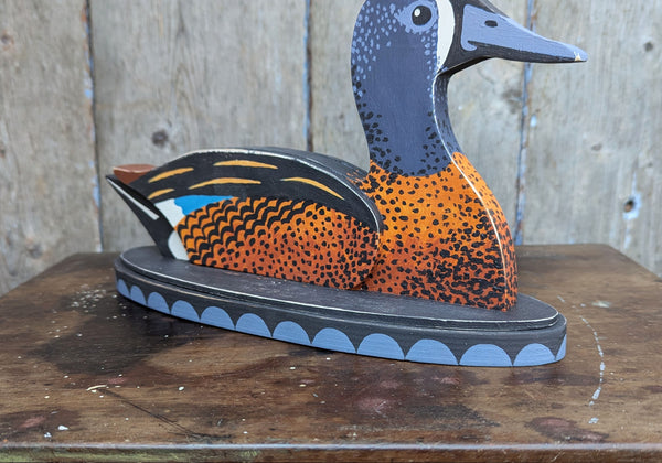 Blue-winged Teal by Tom Frost