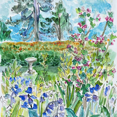 Bluebells by Birdbath