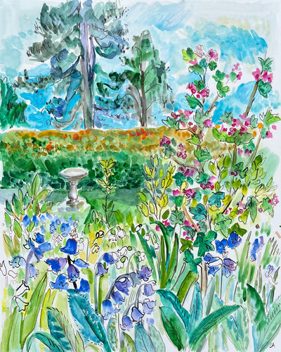 Bluebells by Birdbath