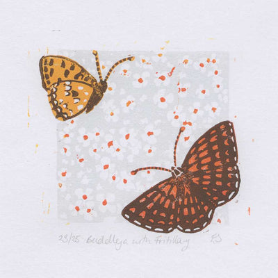 Buddleja with Fritillary