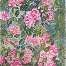 Camelia Celebration