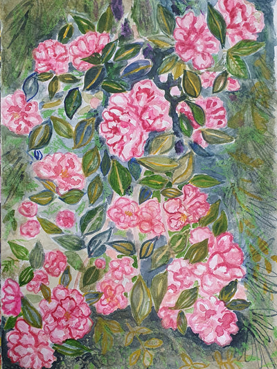 Camelia Celebration