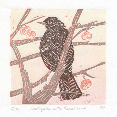 Crabapple with Blackbird