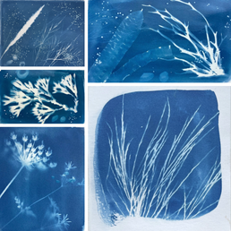 Cyanotype workshop