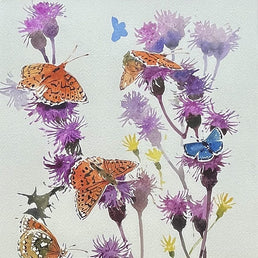 Dark-Green Fritillaries and Common Blue butterfly SOLD