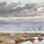 Curlew Arriving into Aberlady Bay